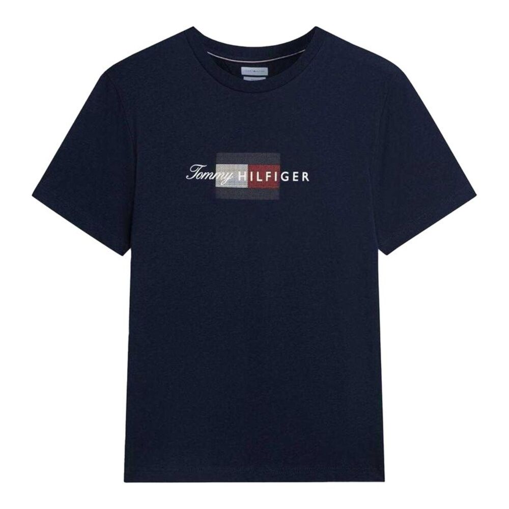 Tommy Hilfiger Mens Script Logo T-Shirt / Desert Sky